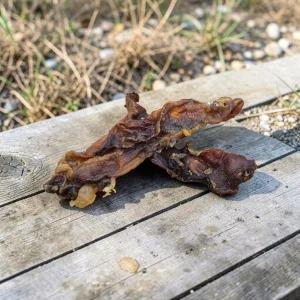 Paardennekpezen
